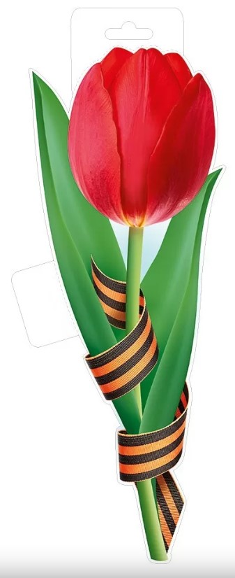 Плакат 'Красный тюльпан с георгиевской лентой', 59.022.00