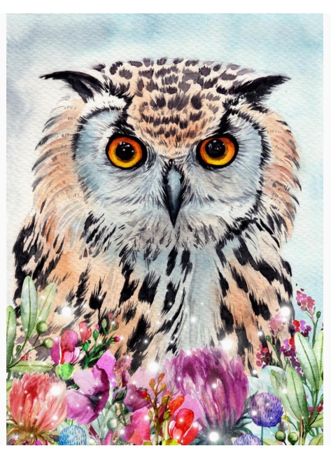 Алмазная мозайка 'Филин в цветах' (класс.) 22х32 см, с подрамником 24 цвета, НД-0824