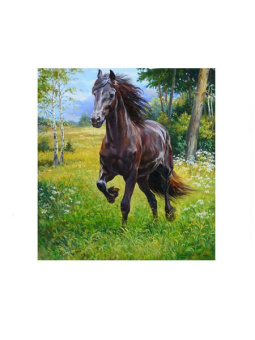 Алмазная мозайка Конь-2 (25х30 см), М-11493
