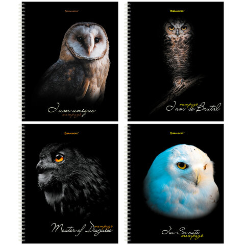 Тетрадь А5, 96л. 'BRAUBERG.Cовы', клетка , твердая обложка , на гребне, 404443