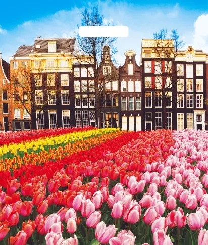 Пакет ПЭ с вырубной ручкой 38х45+3см (60) (Весна в городе), ВУР58187