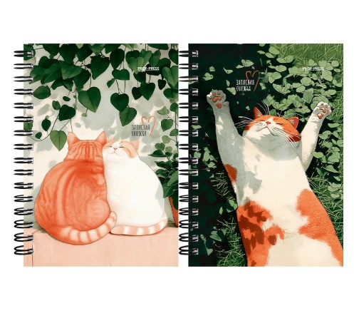 Записная книжка А6, 120л. СОЛНЕЧНЫЕ КОТИКИ - 1, на гребне, ЗК120-3022