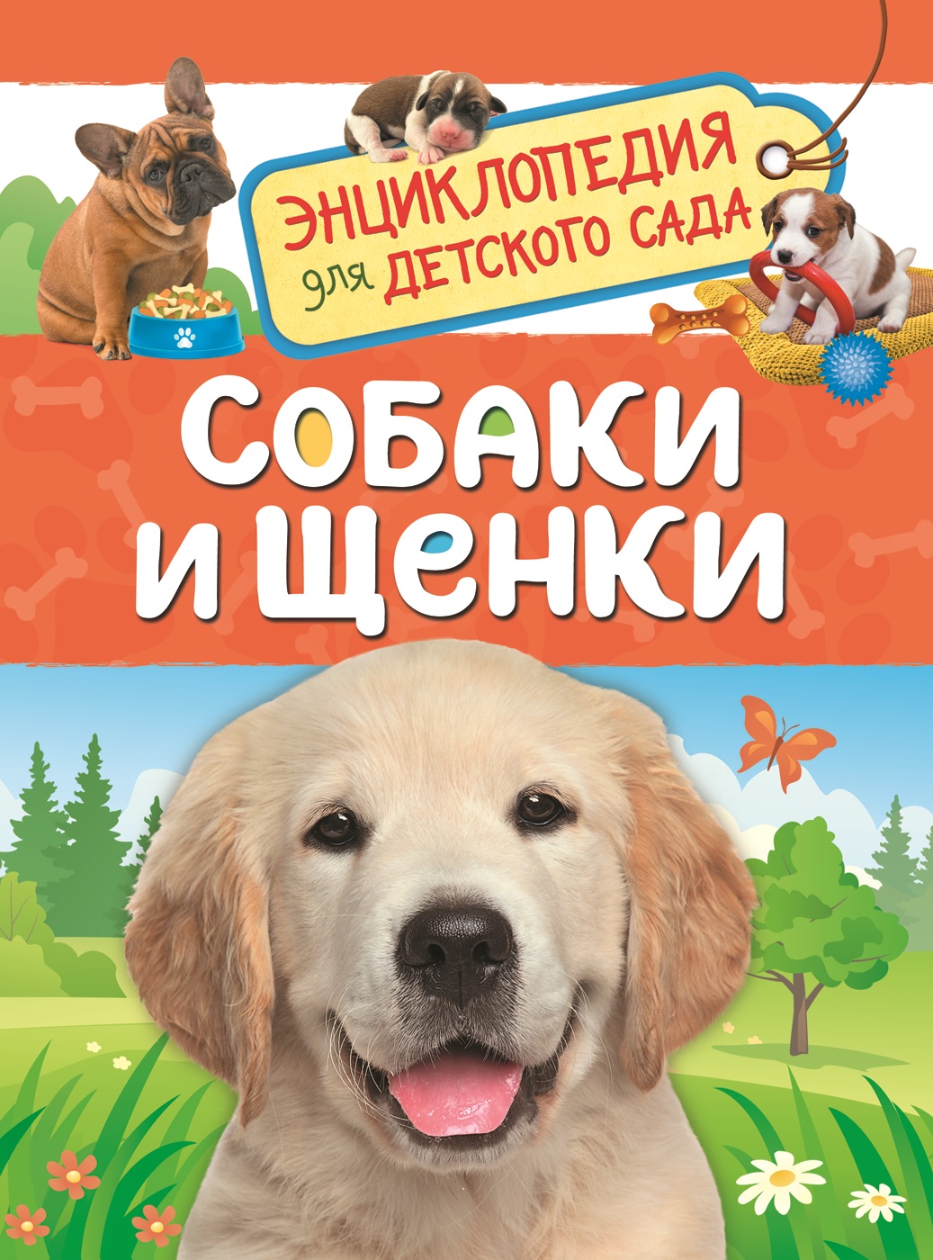 Энциклопедия. Собаки и щенки, А5, 978-5-353-08775-5