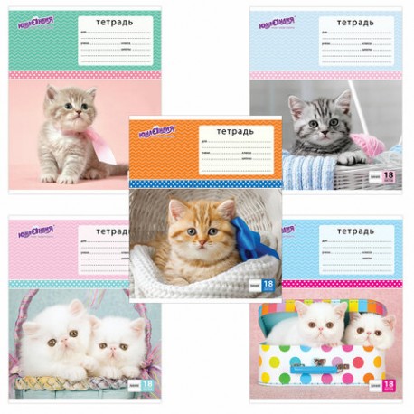 Тетради А5 18л., ЛИНИЯ  цветная обложка, ассорти
