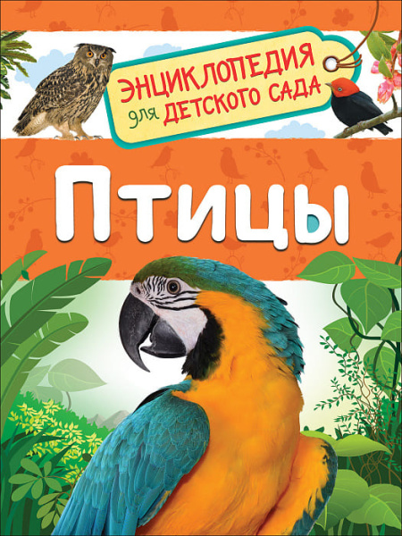Энциклопедия. Птицы, А5, 978-5-353-09340-4