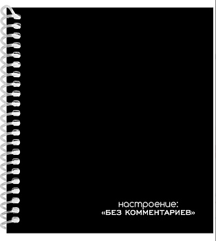 ЗАПИСНАЯ КНИЖКА А6 80л. БЕЗ КОММЕНТАРИЕВ цветная спираль, ЗК80-0745